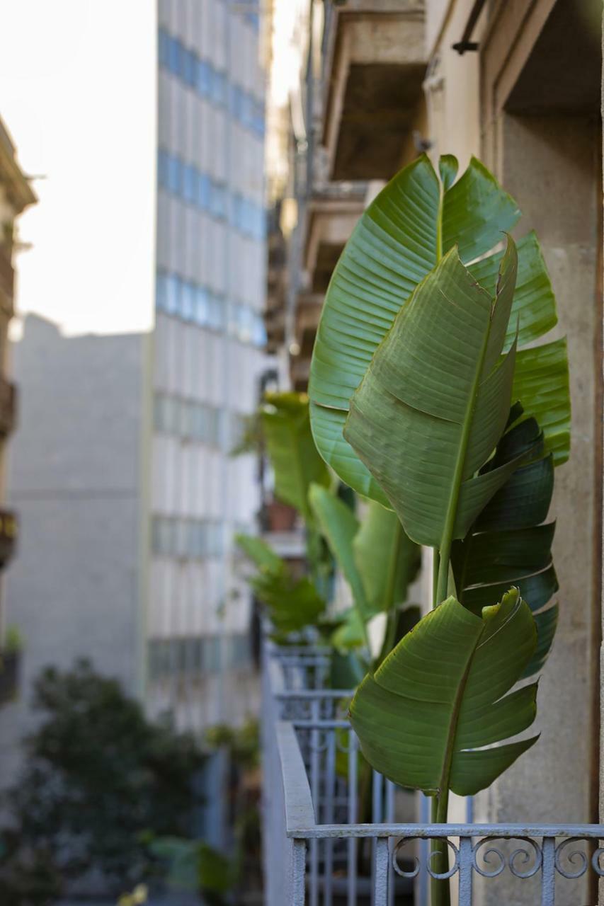 Hostal Sol Y K Βαρκελώνη Εξωτερικό φωτογραφία